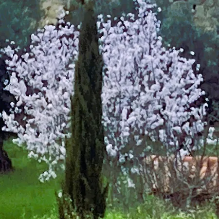 Casa Ar Da Beira - Serra Da Estrela - Casa de Férias