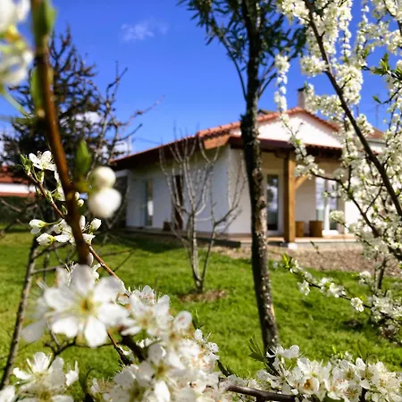 Casa Ar Da Beira - Serra Da Estrela - Сasa de vacaciones *