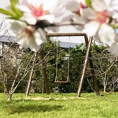 Casa Ar Da Beira - Serra Da Estrela - Belmonte (Castelo Branco)