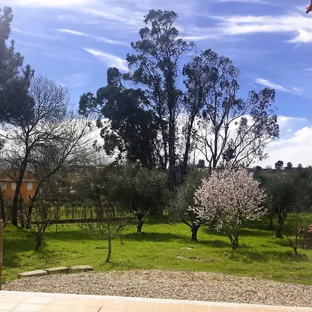 Casa Ar Da Beira - Serra Da Estrela - *