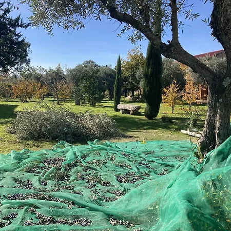 Hébergement de vacances Casa Ar Da Beira - Serra Da Estrela -