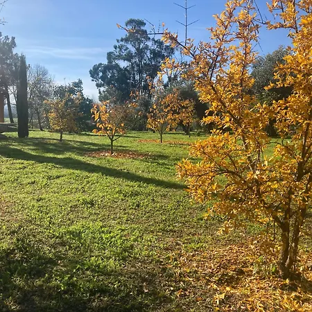 Ar Da Beira Vakantiehuis