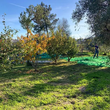 Casa Ar Da Beira - Serra Da Estrela -