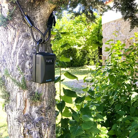 Hébergement de vacances Casa Ar Da Beira - Serra Da Estrela -