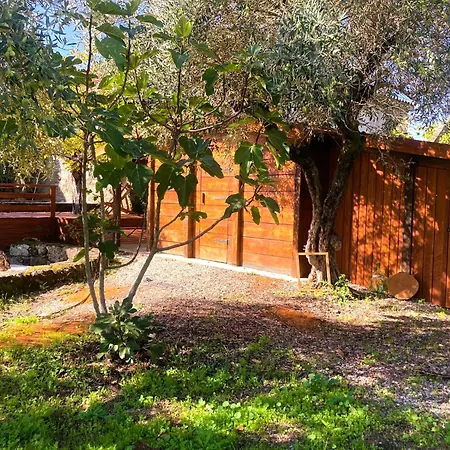 Casa Ar Da Beira - Serra Da Estrela - Casa vacanze Belmonte (Castelo Branco)