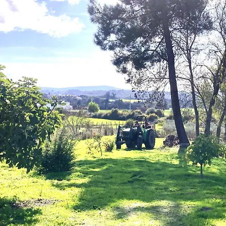 Hébergement de vacances Casa Ar Da Beira - Serra Da Estrela - *