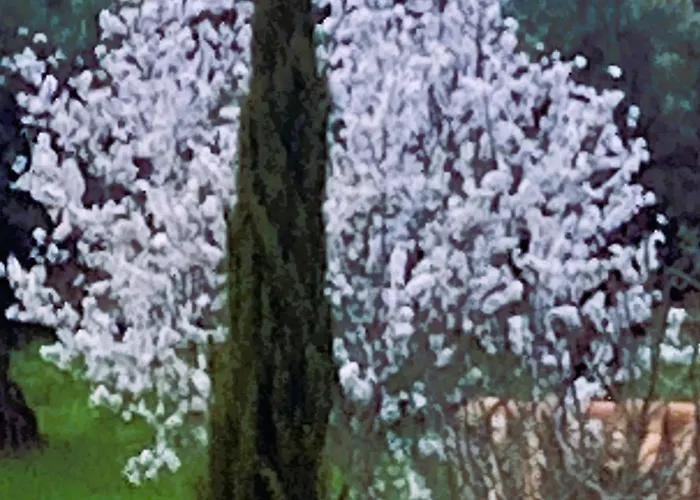 Casa Ar Da Beira - Serra Da Estrela - Dom wakacyjny
