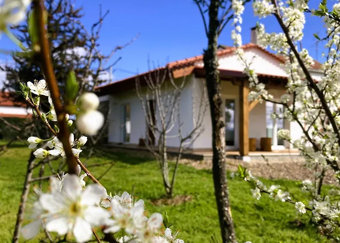 Casa Ar Da Beira - Serra Da Estrela - Dom wakacyjny *