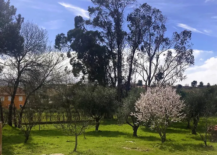 Casa Ar Da Beira - Serra Da Estrela - *