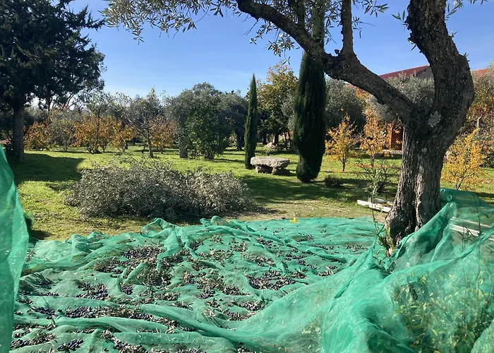 Dom wakacyjny Casa Ar Da Beira - Serra Da Estrela -