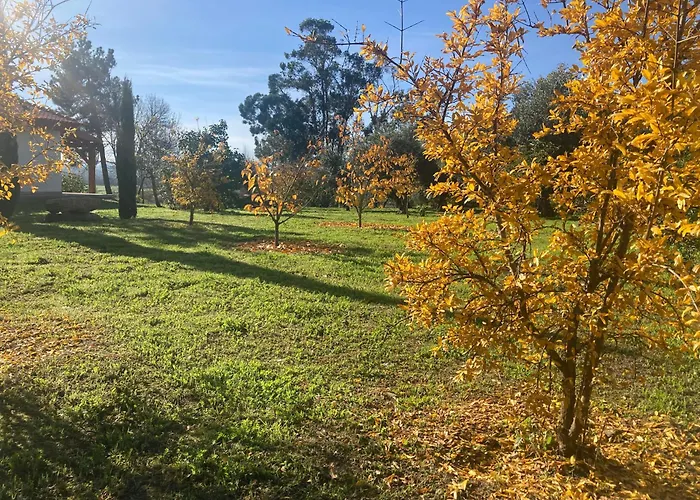 Casa Ar Da Beira - Serra Da Estrela - Dom wakacyjny