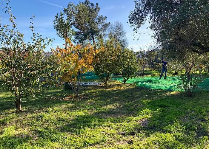 Casa Ar Da Beira - Serra Da Estrela -